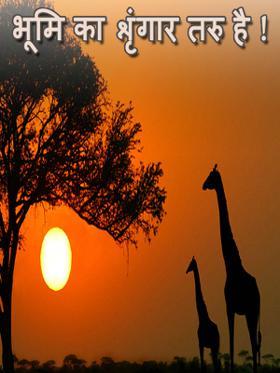 भूमि का शृंगार तरु है !