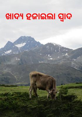 ଖାଦ୍ୟ ହଜାଇଲା ସ୍ୱାଦ