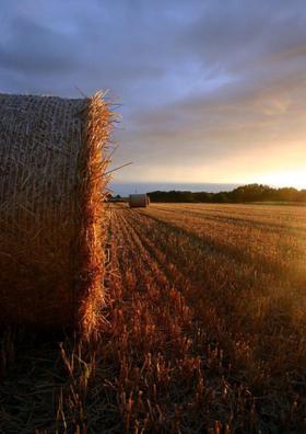 ଜହ୍ନରାତି