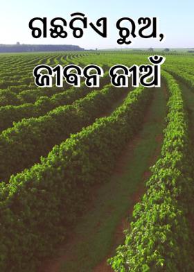 ଗଛଟିଏ ରୁଅ, ଜୀଵନ ଜୀଅଁ