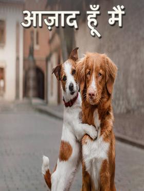 आज़ाद हूँ मैं
