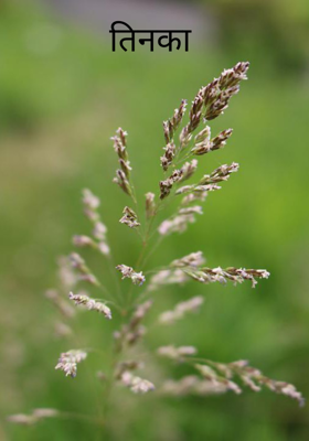 तिनका