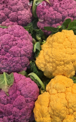 माँ -भाग ३