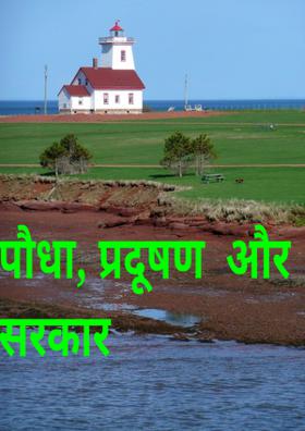 पौधा, प्रदूषण और सरकार