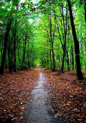 श्रावण...