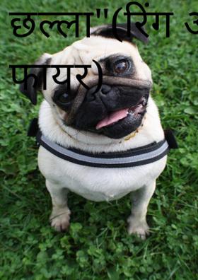 "आग का छल्ला"(रिंग ऑफ फायर)