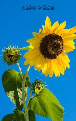 ଅରଜିବା କୀର୍ତ୍ତି ଯଶ