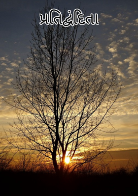 પ્રતિદ્વંદિતા