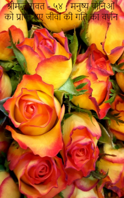 श्रीमद्भागवत - ५४ ; मनुष्य योनिओं को प्राप्त हुए जीवों की गति का वर्णन