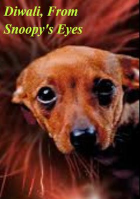 Diwali, From Snoopy's Eyes