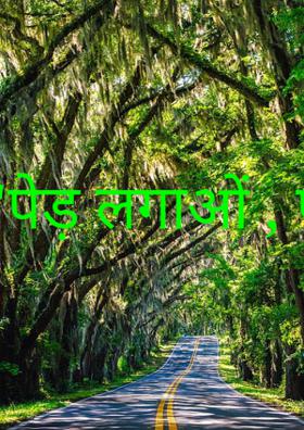 "पेड़ लगाओ , पेड़ बचाओ "