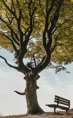 திருக்குறள்