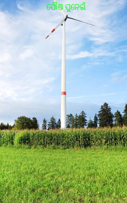 ପୌଷ ପୁନେଇଁ