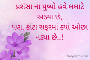 પ્રશંસા ના પુષ્પો હવે લલાટે અડ્યા છે,
પણ, કાંટા સફરમાં ક્યાં ઓછા નડ્યા છે..!

