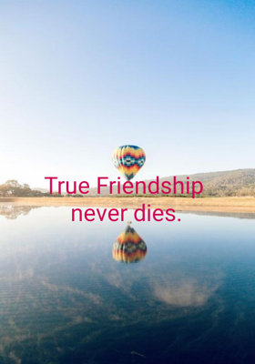 True Friendship Never Dies