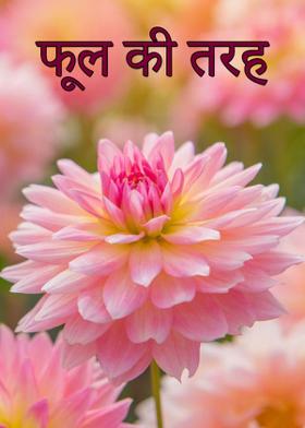 फूल की तरह