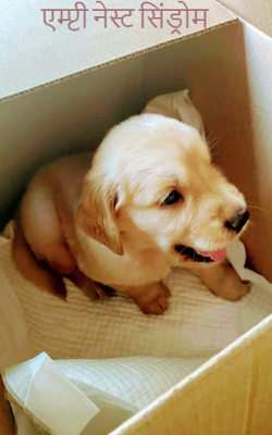 एम्प्टी नेस्ट सिंड्रोम