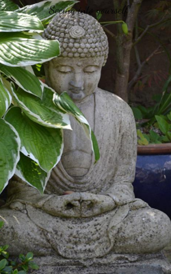 Seeing into yourself