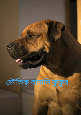 ভৌতিক বাদামি কুকুর