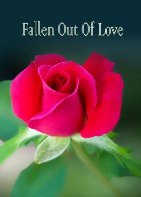 Fallen Out Of Love