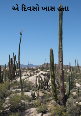 એ દિવસો ખાસ હતા