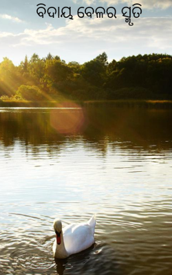 ବିଦାୟ ବେଳର ସ୍ମୃତି