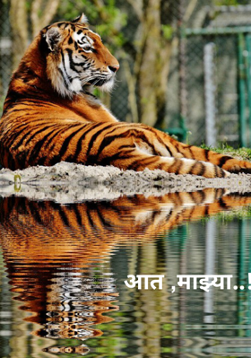 आत माझ्या..!