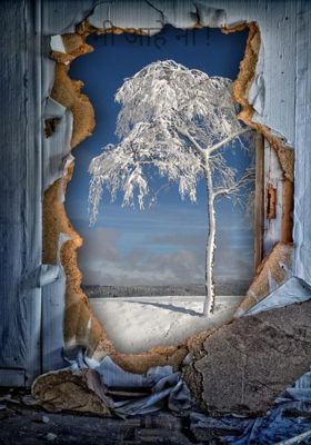 " मी आहे ना ! "