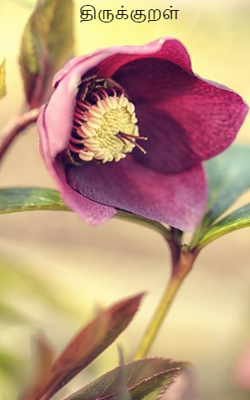 திருக்குறள்