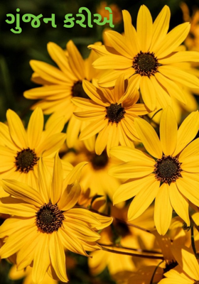 ગુંજન કરીએ