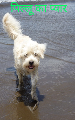 पिल्लू का प्यार