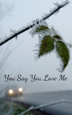 You Say You Love Me