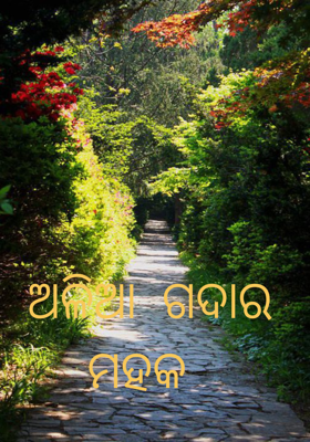 ଅଳିଆ ଗଦାର ମହକ 