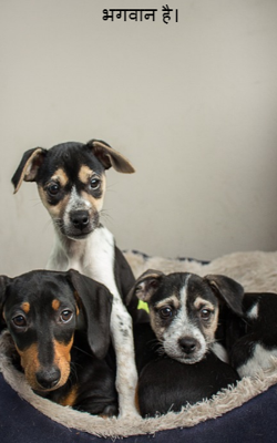 भगवान है।