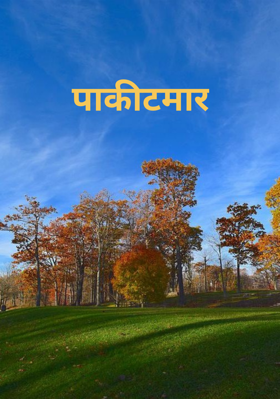 पाकीटमार