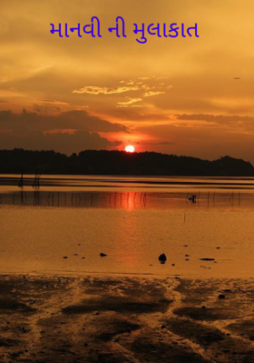 માનવીની મુલાકાત