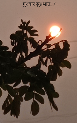 गुरुवार सुप्रभात...!