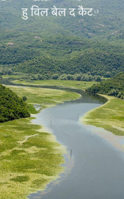 हु विल बेल द कैट?