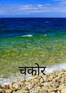 चकोर