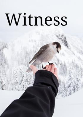 Witness