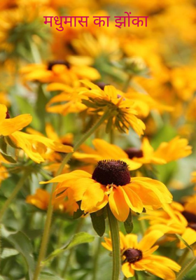 मधुमास का झोंका 