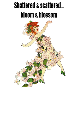 Shattered & Scattered... Bloom & Blossom