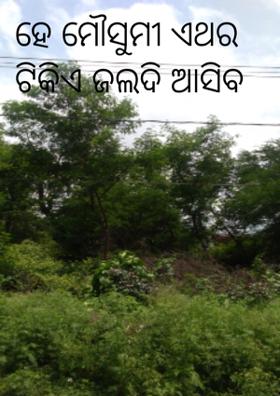 ହେ ମୌସୁମୀ ଏଥର ଟିକିଏ ଜଲଦି ଆସିବ