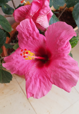 टीन एज में मार्ग भूलते बच्चे