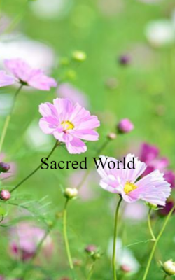 Sacred World