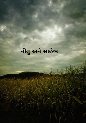 નીતુ અને સાહેબ