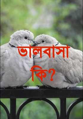 ভালোবাসা কি?
