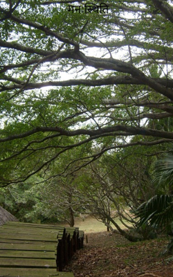 मनःस्थिति