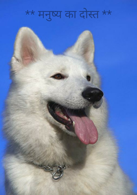 ** मनुष्य का दोस्त **