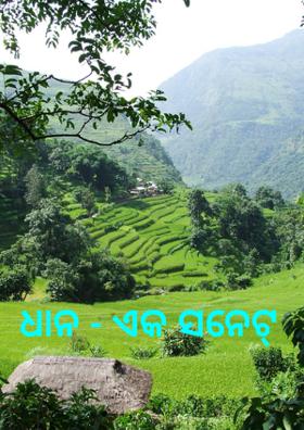 ଧାନ - ଏକ ସନେଟ୍